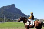 Galeria de Fotos – Confira os vencedores deste SÁBADO (08) no JCB