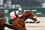 Em carreira acidentada, Or Noir vence o GP João Borges Filho (G2)