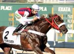 Future Queen e Fanciful, domínio da criação Araras no GP Duque de Caxias (G2)