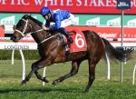 Winx: 31 vitórias, 27 êxitos consecutivos e 20 troféus de G1