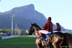Pedigrees da semana: Future Queen e Olympic Impact