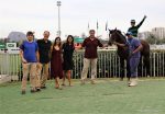Pedigree da semana: Tiro Ao Alvo