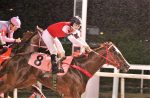 Tinindo, American Bull vence o Clássico São Francisco Xavier (L.)