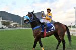Bold Retriever, de ponta a ponta o melhor no GP Salgado Filho (G3)