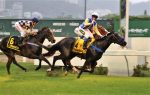 Em franca evolução, Touriga brilha no GP Carlos Gilberto e Carlos Telles da Rocha Faria (G2)