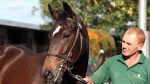 Mercado: filha de Galileo alcança € 3,2 milhões em Goffs