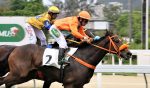 Galeria de Fotos – Confira os vencedores deste DOMINGO (04) no JCB