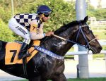 Bruno Queiroz, o novo jóquei do Haras Figueira do Lago