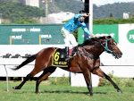 Tiro Ao Alvo larga e acaba no GP Gervásio Seabra (G2)