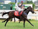 Geração 2016 estreia na Gávea com domínio do Haras Figueira do Lago