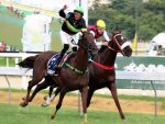 Atropelada sensacional de Ray Grass para levantar o GP Mariano Procópio (G3)