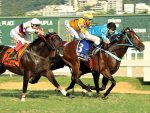No GP Júlio Cápua (G2), em final eletrizante, Tiro Ao Alvo segue dominante na milha