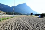 Fêmeas disputam melhor carreira da semana na Gávea