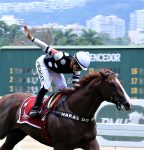 Pedigrees da semana:Garbo Talks, Olympic Imola e Olhar Mágico