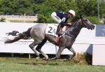 Sábado com corridas transmitidas para a França, G3 na Gávea, DWC e Florida Derby na Tv
