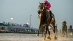 City of Light esmaga adversários na Pegasus World Cup (gr.I)