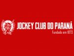 Tarumã: indicações e comentários – QUINTA (10)