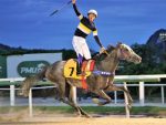 Com Longe de Mim, Daniel Staiti conquista a primeira vitória de sua carreira