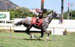 Galeria de Fotos – Confira os vencedores deste DOMINGO (03) no JCB