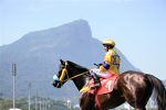 Galeria de Fotos – Confira os vencedores deste DOMINGO (24) no JCB