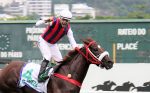 A Grandeza do Haras Santa Maria de Araras no GP Henrique Possolo (G1)