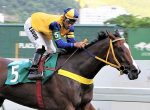 Rumo ao Diana, vitória de Midsummer Rain na P.E. Virginie