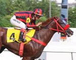 Jolie Olímpica desafia os machos no GP Jockey Club Brasileiro (G1)