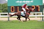 Pedigrees da semana:Garbo Talks, Grandeza e Easiest Way