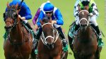 Winx bate o recorde mundial de vitórias de Grupo 1 vencendo em Royal Randwick