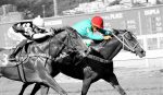 Galeria de Fotos – Confira os vencedores deste DOMINGO (31) no JCB