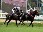 Campo lotado para o GP Francisco Eduardo de Paula Machado (G1)