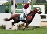 ADDED – GP Diana (G1) – 2ª Etapa da Tríplice Coroa de Potrancas