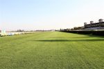 Latino 2019: Club Hipico ficando pronto para a grande festa