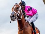Filho de New Years Day, garanhão que está no Brasil, Maximum Security vence o Florida Derby (G1)