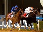 Em final de emoção, Thunder Snow torna-se o primeiro bicampeão da Dubai World Cup (G1)