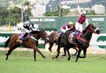 GP Zélia Gonzaga Peixoto de Castro (G1), o desafio final das potrancas