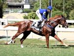 Um show de Filo di Arianna no GP Conde de Herzberg (G2)