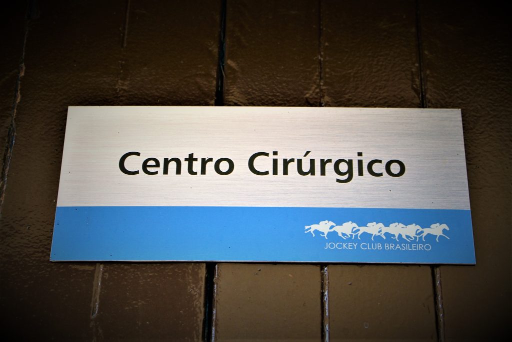 O atributo alt desta imagem estÃ¡ vazio. O nome do arquivo Ã© IMGS3590-1024x683.jpg