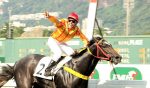 Galeria de Fotos – Confira os vencedores deste DOMINGO (07) no JCB