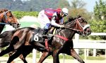 Batismo nobre de Feliz Rainha no Clássico Jockey Club de São Paulo (L.)