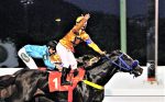 Em final apertado, Super Bold supera Tiro Ao Alvo e Bold Retriever na milha do GP José Paulino Nogueira (G3)