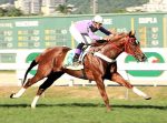 Ganhador do Derby, Jet Lag está fora do GP Brasil 2019