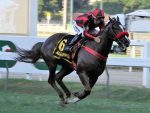 Invicta, Jolie Olímpica assume liderança com vitória no GP Adayr Eyras de Araújo (G3)