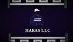 Nesta 4° feira, venda do plantel do Haras LLC
