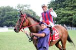 Pedigree da semana: Go to Riviera