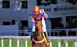 Galeria de Fotos – Confira os vencedores deste DOMINGO (26) no JCB