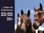 Hoje: Leilão de Coberturas da ABCPCC