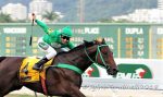 Pedigrees da semana: Agassi, Falcão Shanghai, Joe Gold e Easiest Way