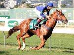 Galeria de Fotos – Confira os vencedores deste SÁBADO (29) no JCB