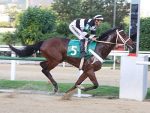 Galeria de Fotos – Confira os vencedores deste SÁBADO (22) no JCB